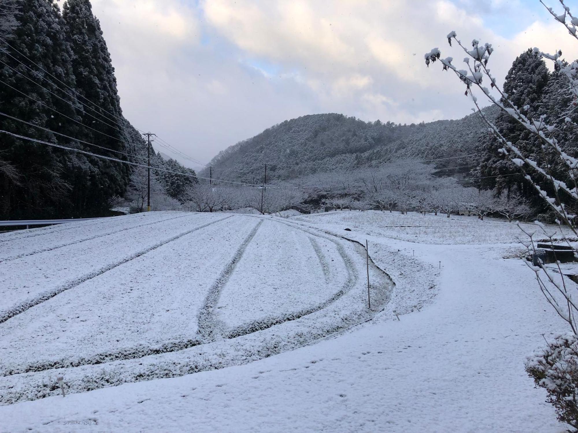 Satoyama Hotel Kanenone Tamba Maibara Kültér fotó