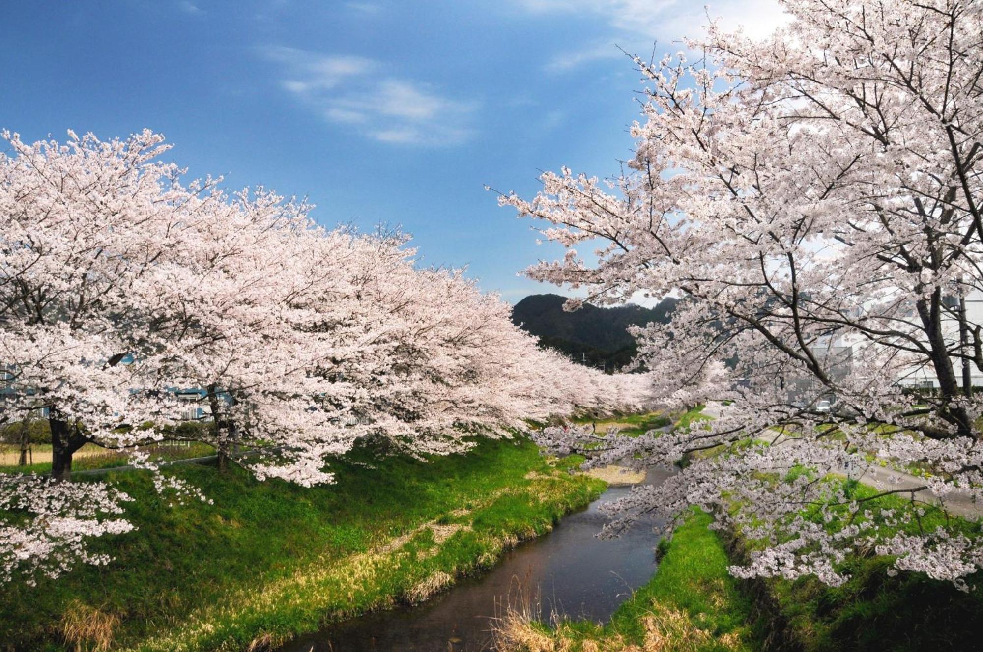 Satoyama Hotel Kanenone Tamba Maibara Kültér fotó