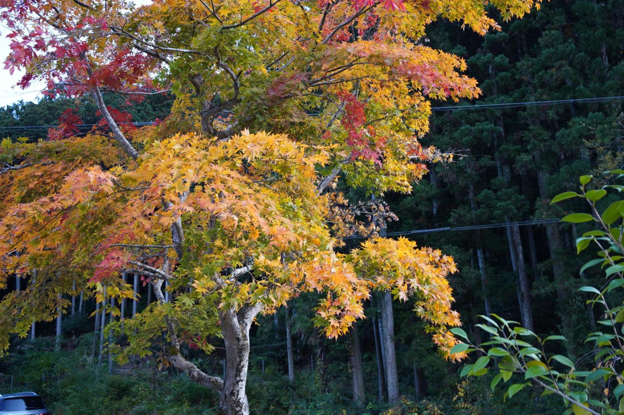 Satoyama Hotel Kanenone Tamba Maibara Kültér fotó