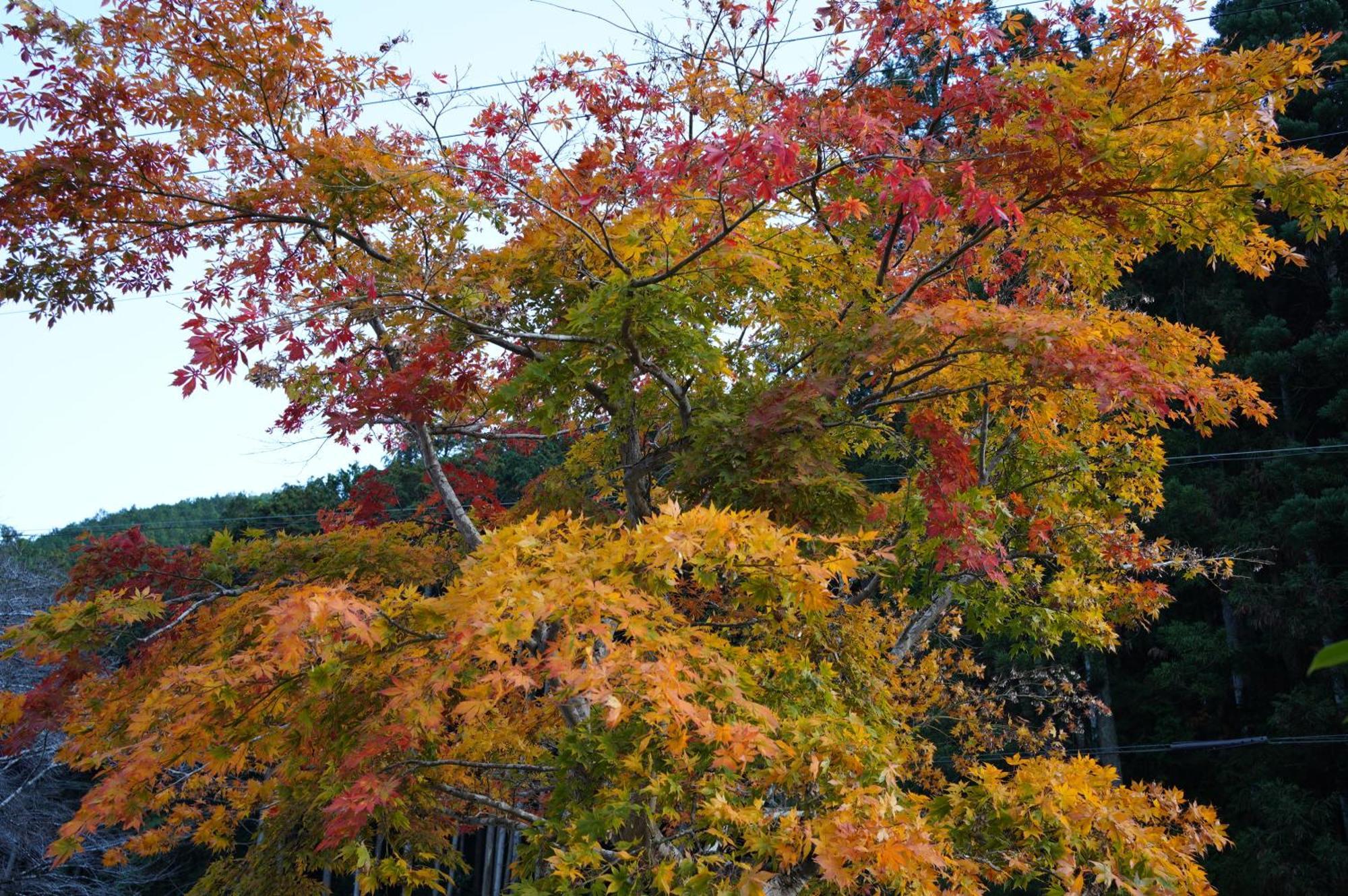 Satoyama Hotel Kanenone Tamba Maibara Kültér fotó