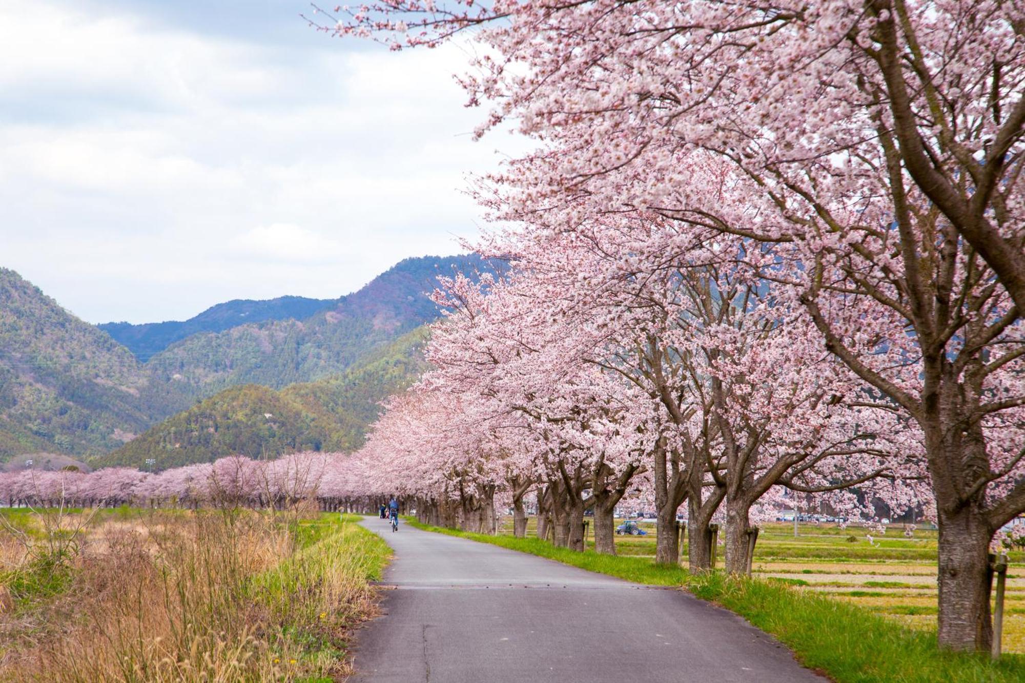 Satoyama Hotel Kanenone Tamba Maibara Kültér fotó