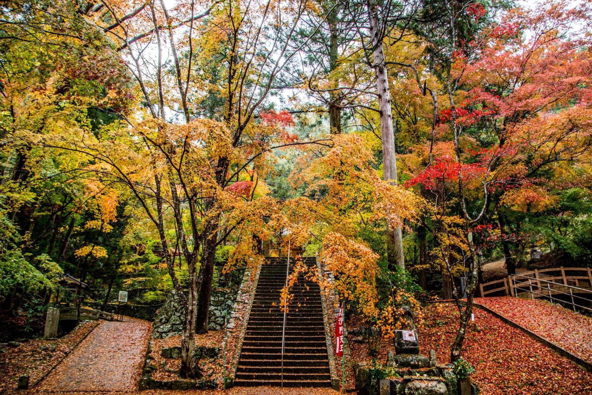 Satoyama Hotel Kanenone Tamba Maibara Kültér fotó