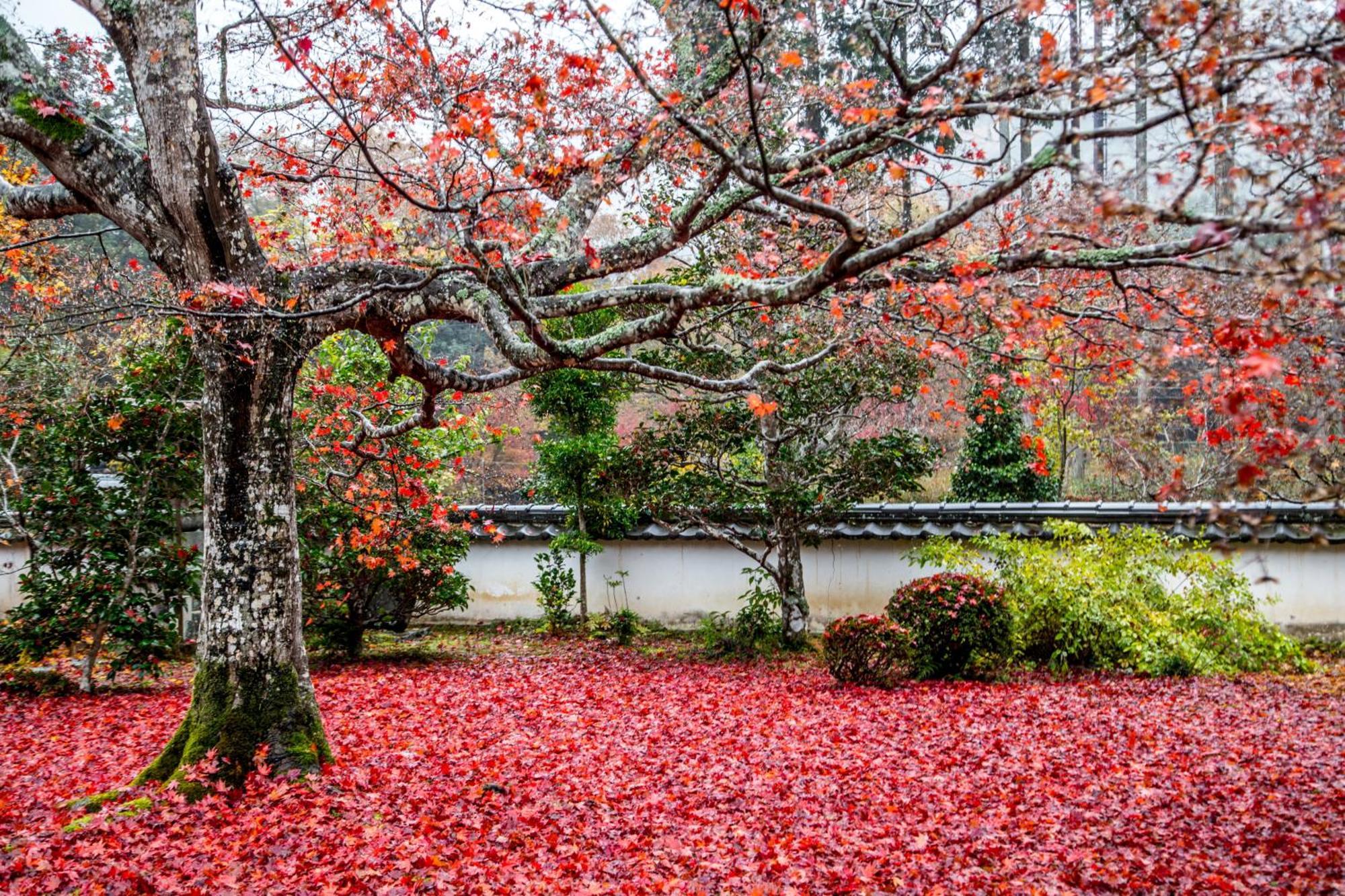 Satoyama Hotel Kanenone Tamba Maibara Kültér fotó