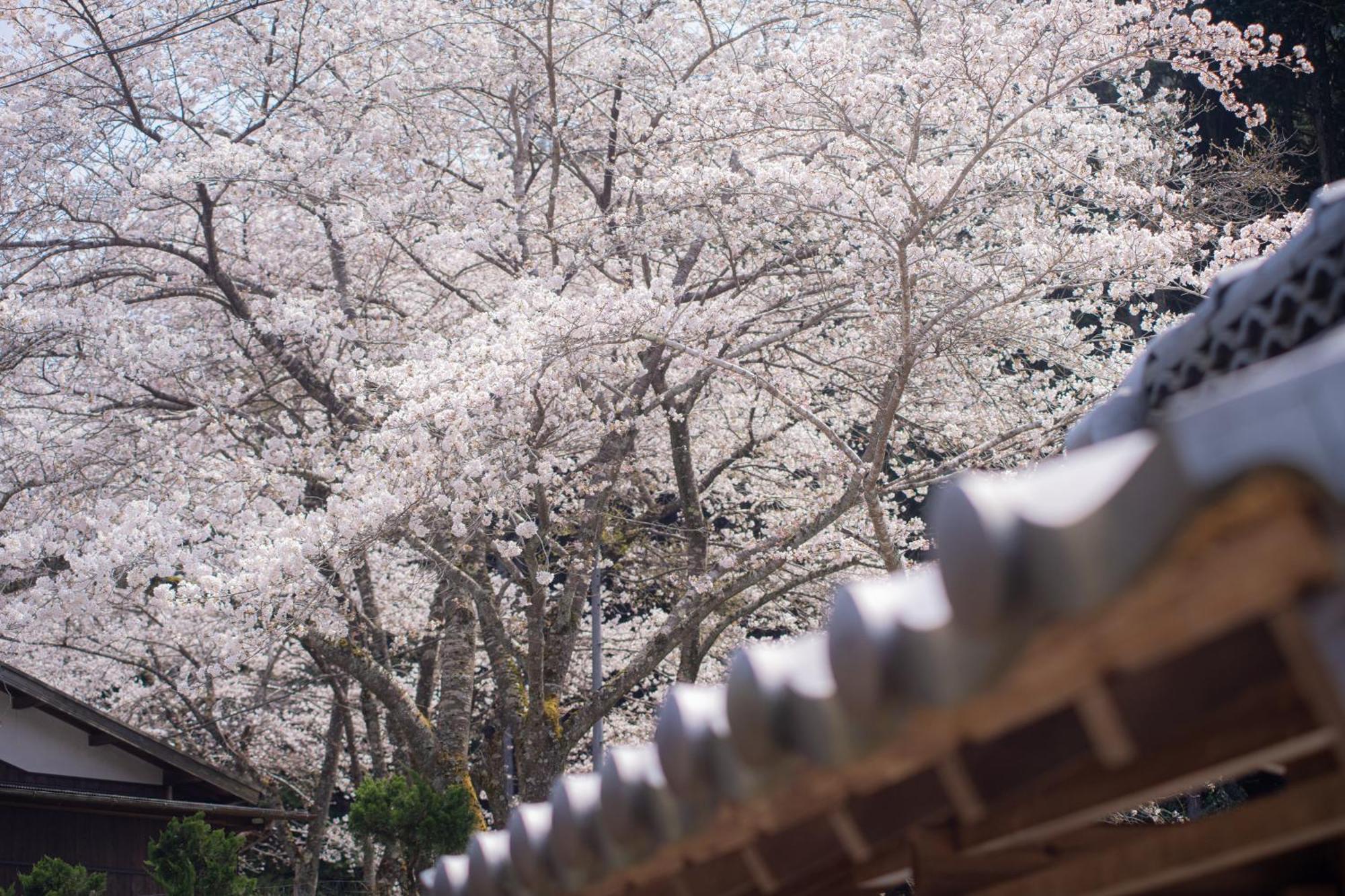 Satoyama Hotel Kanenone Tamba Maibara Kültér fotó